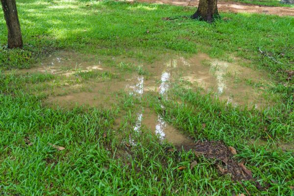 Cost of Storm Water Drainage Service in Pflugerville