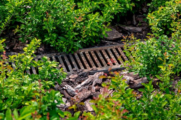 Cost of Underground Drainage Service in Pflugerville