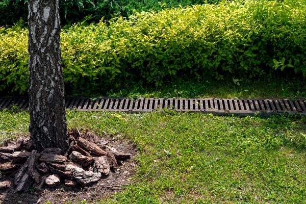 Cost of Yard Water Redirection in Pflugerville