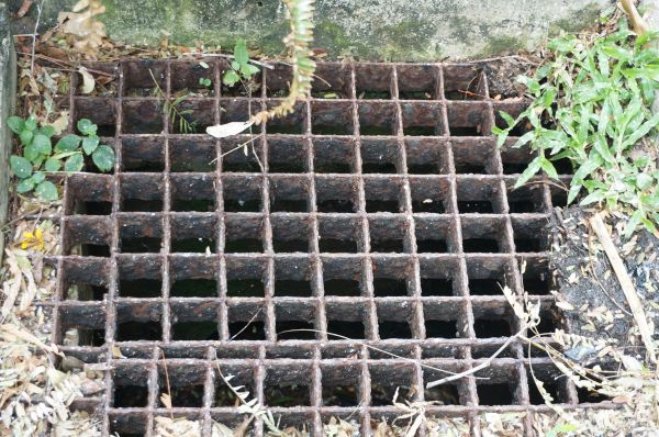 Cost of Yard Drain Cleaning in Pflugerville
