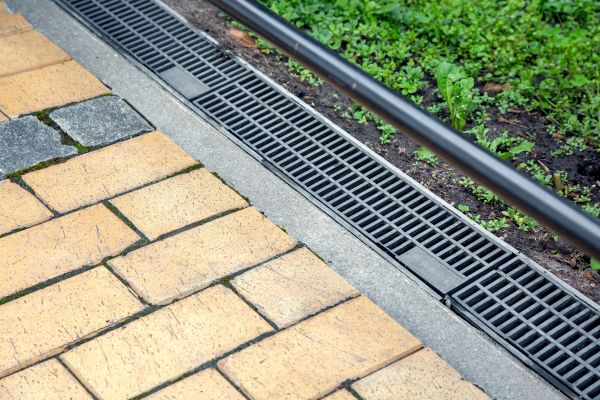 Cost of Waterlogged Yard Repair in Pflugerville