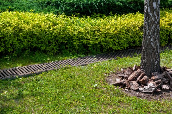 Cost of Residential Landscape Drainage in Pflugerville