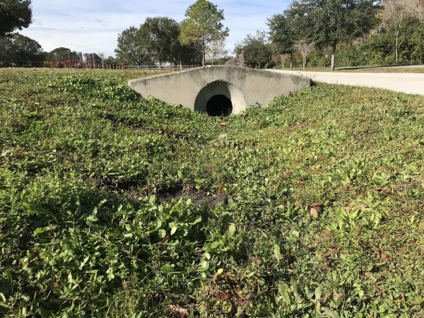 Cost of Swale Drainage Service in Pflugerville