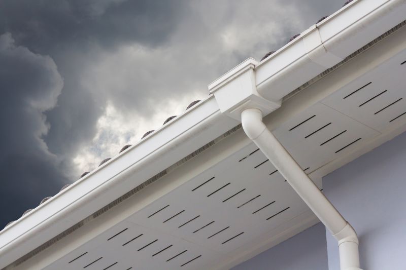 Gutter and Downspout Management